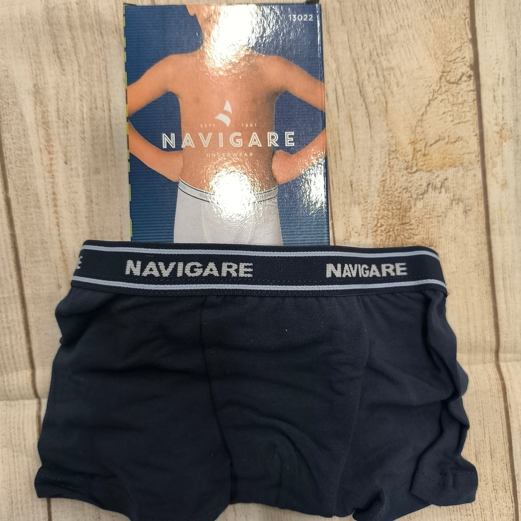 Boxer ragazzo navigare