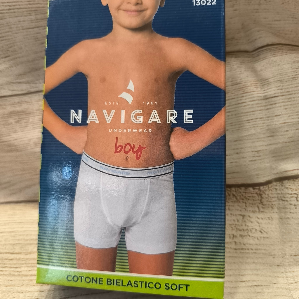 Boxer ragazzo navigare